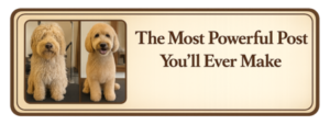Most Powerful Post