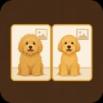 Before & After Photo Maker